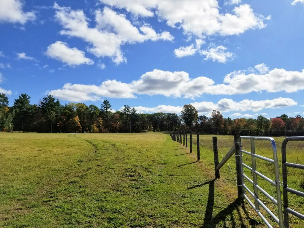 Brunton Farms Field Looking Forward